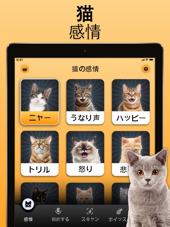 猫翻訳機のおすすめ画像3