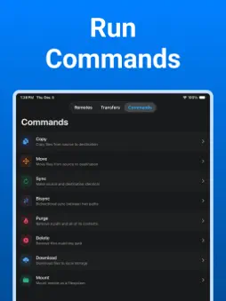 Rclone UI screenshot 9