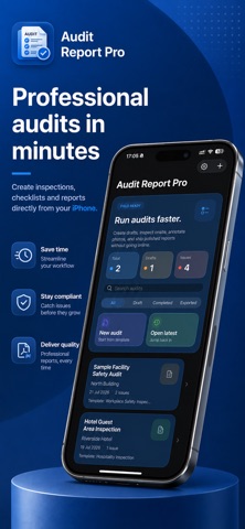 Site Audit Report Pro - PDF iPhone screenshot