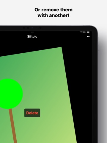 Siftpic Screenshot 3