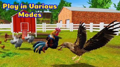 Rooster Battle-Chicken Fight Screenshot