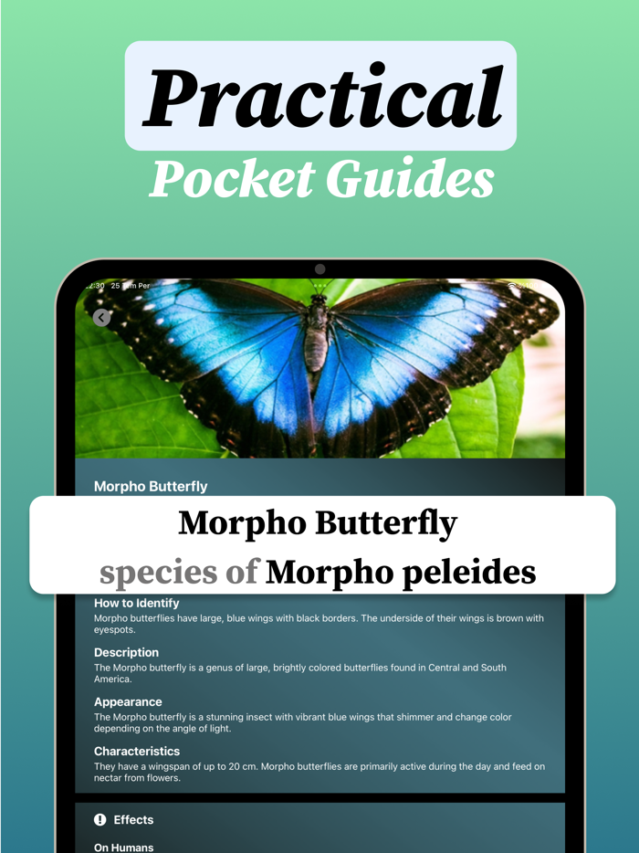 Bug identifier・Insect Scanner