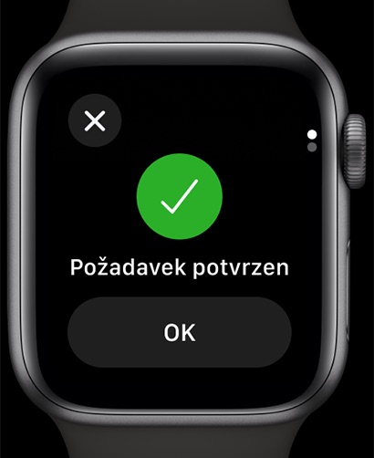 Apple Watch screenshot