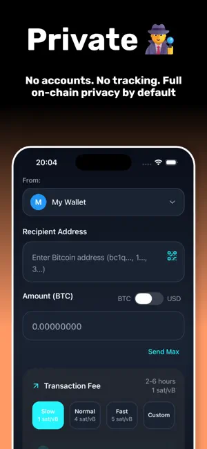 BitSleuth Wallet screenshot 2
