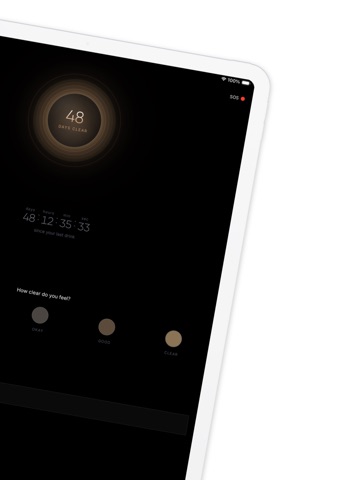 less. Drink less & Stay Sober iPad screenshot