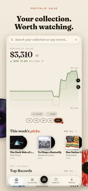 Vinyl Portfolio screenshot 2