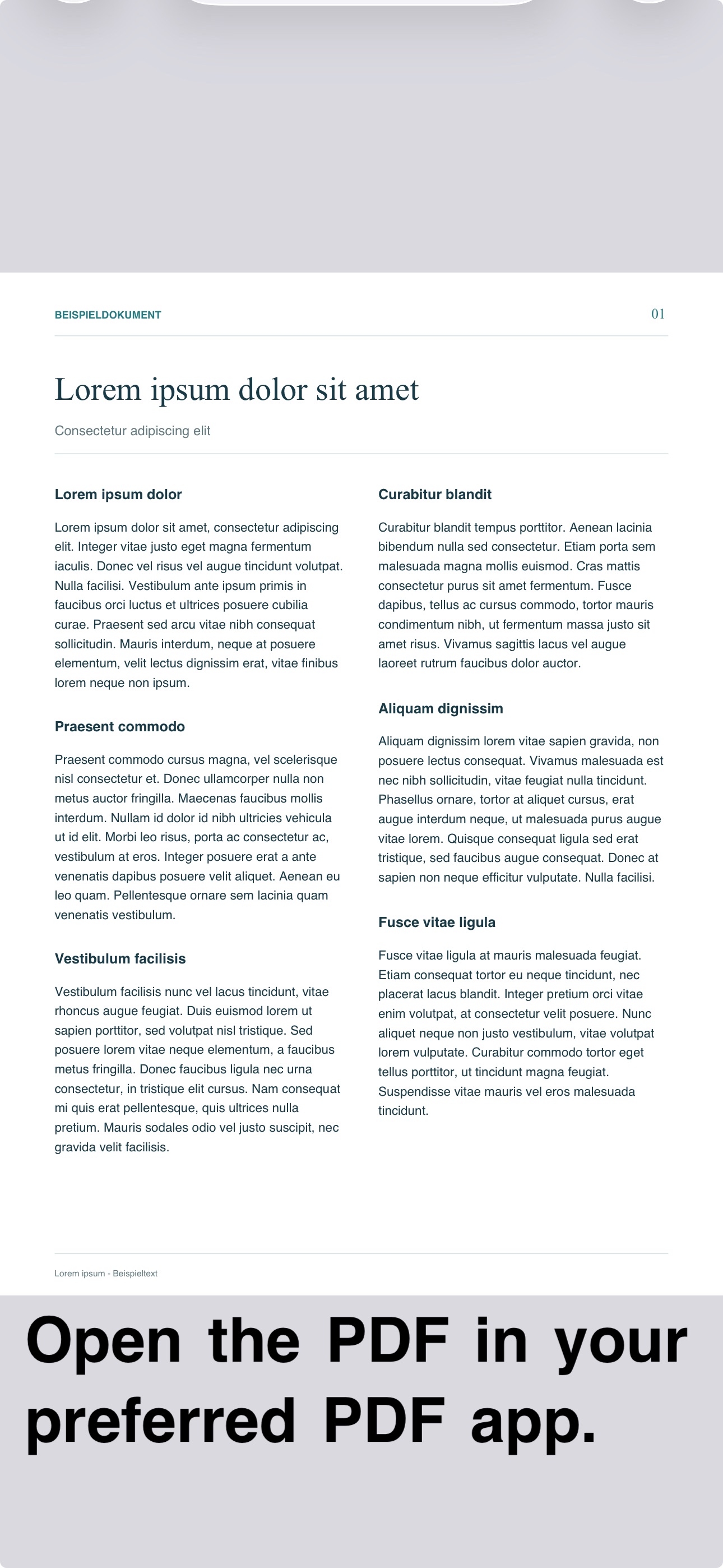 Screenshot 2 of InlayPDF
