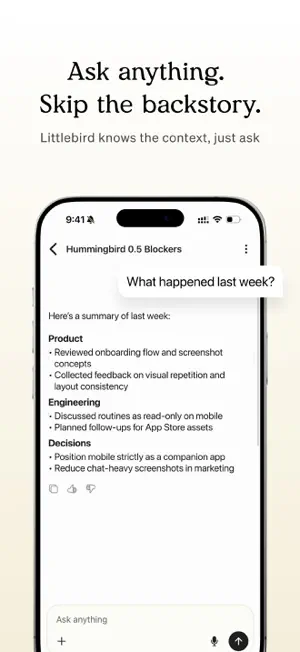 Littlebird AI screenshot 2