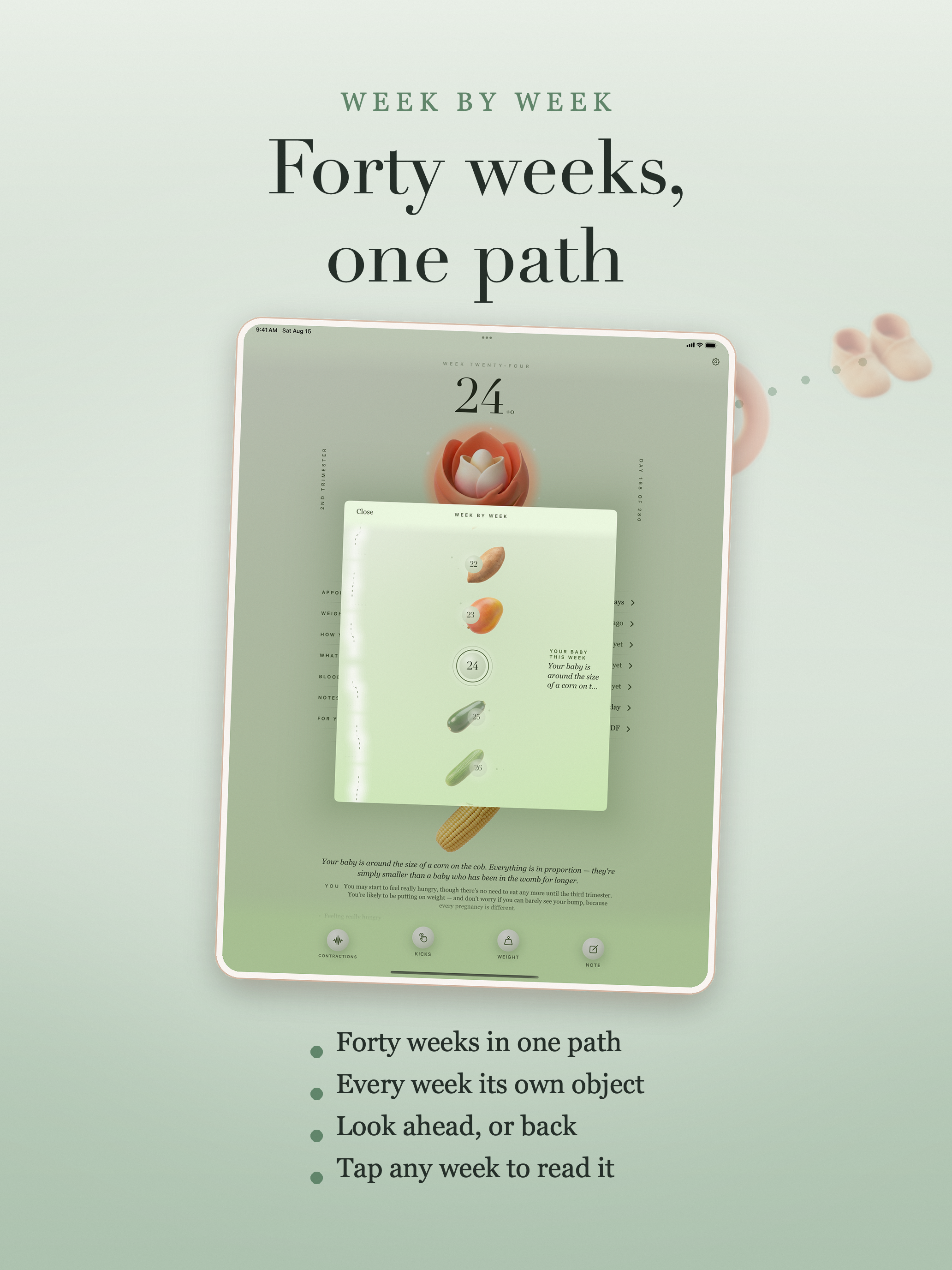Nanela: Pregnancy, then Baby screenshot 11
