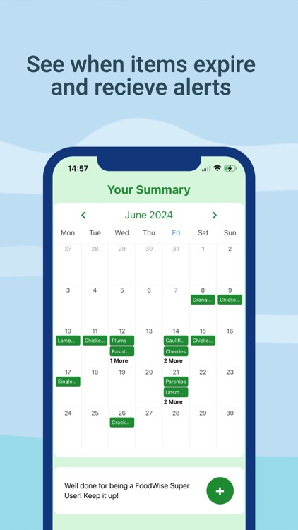 FoodWise - Your Food Inventory