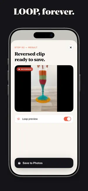 Reverse Video - Reversinc screenshot 3