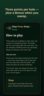 Bingo Bango Bongo Bonus screenshot 5