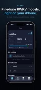 Neuro — Local Fine-Tune screenshot