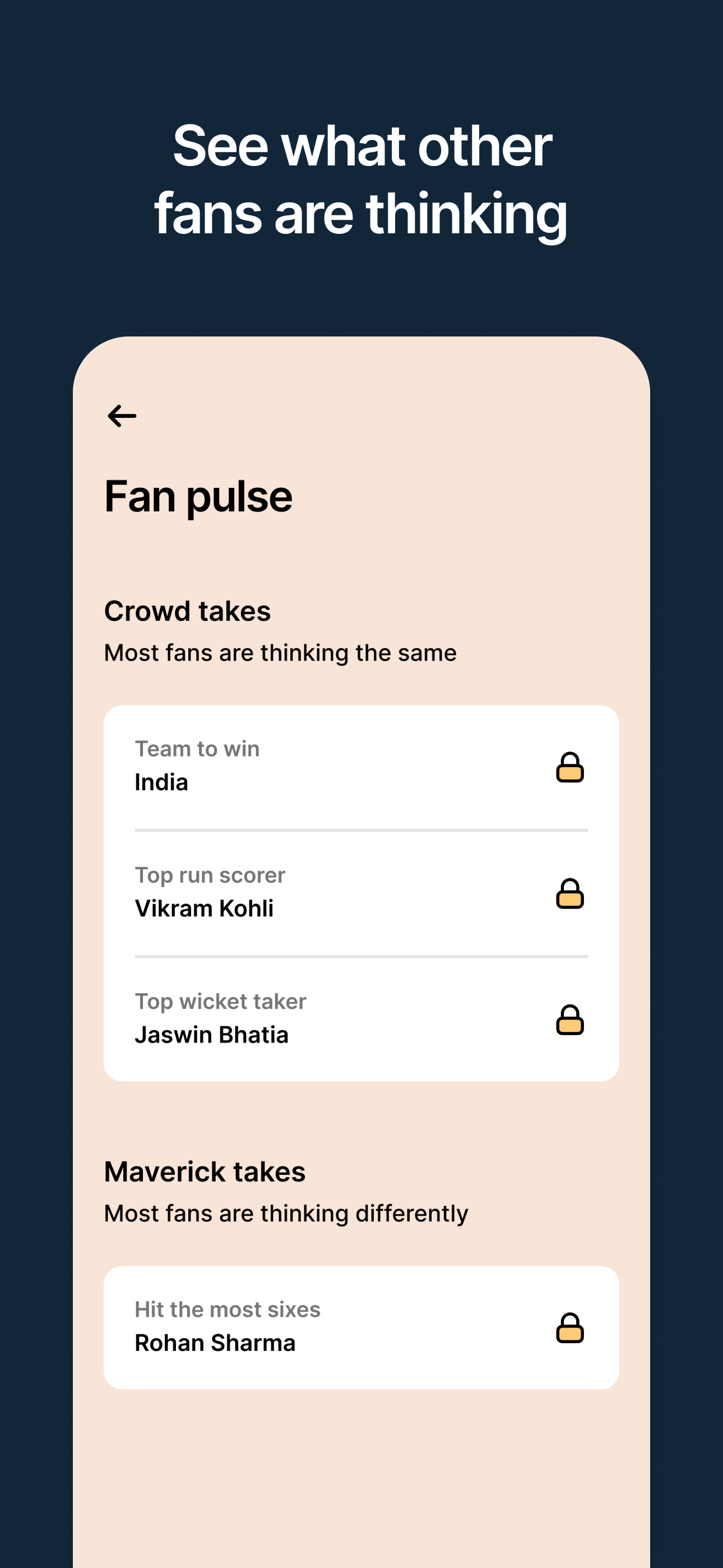 Punt - Cricket Fan Game screenshot 3