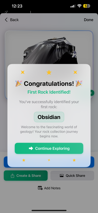 Rock Identifier: Stone Scanner Screenshot 4 of 6