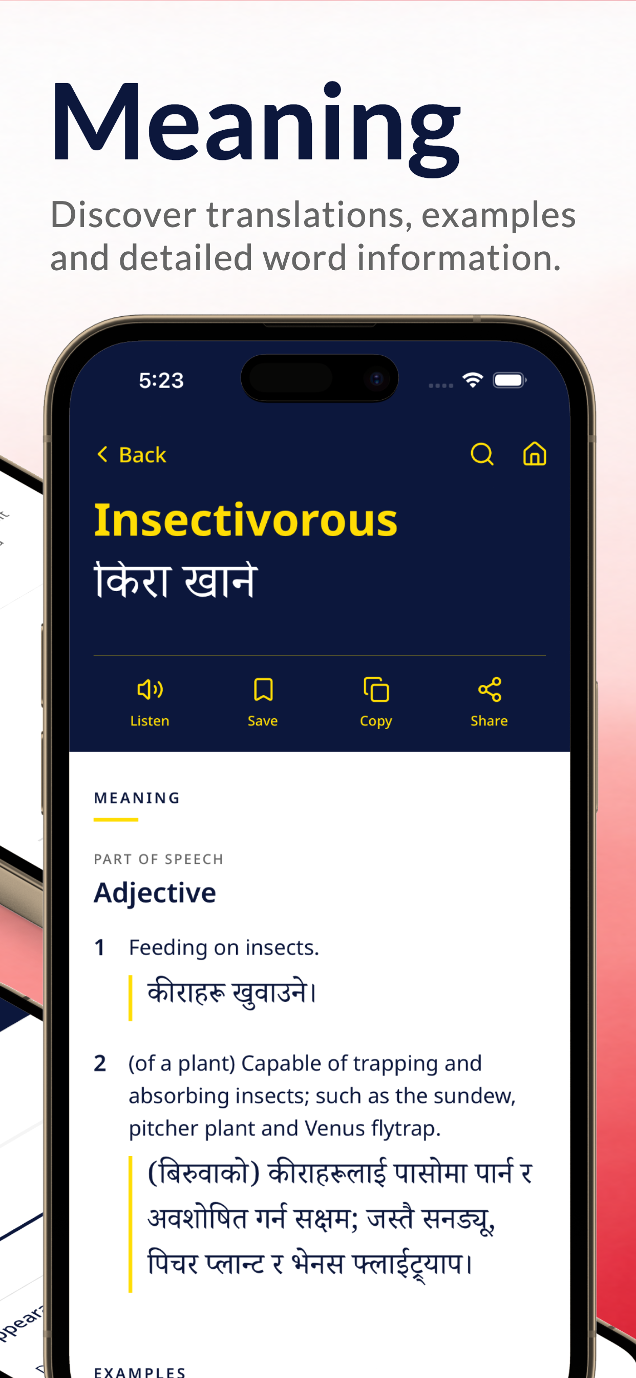 Nepali Dictionary Offline: KJV screenshot 3