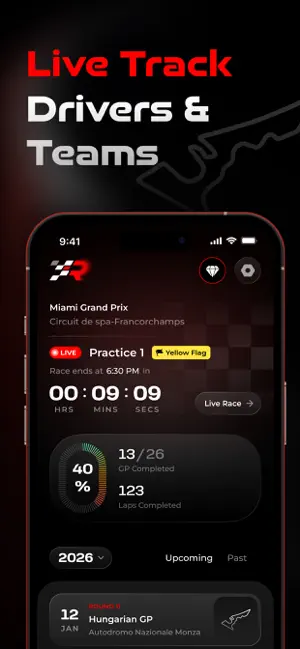 RaceQ - Live Race Widget screenshot 2