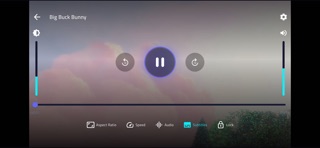 Vizo Player screenshot