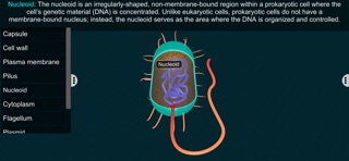 Prokaryotic Cell - EduTech Era screenshot