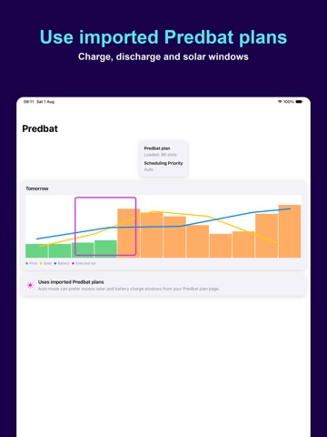 WattSaver for Octopus Energy iPad screenshot