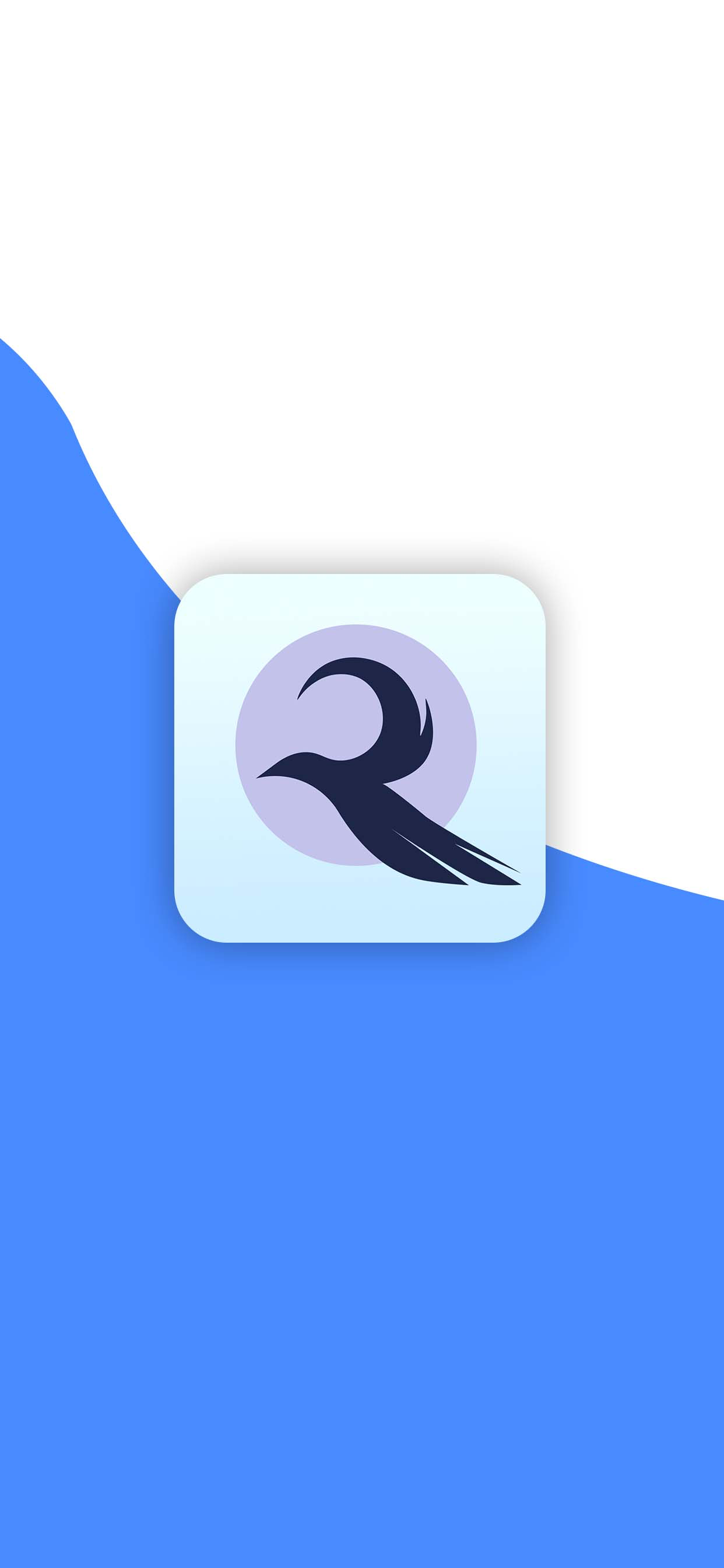 Raven Studios
