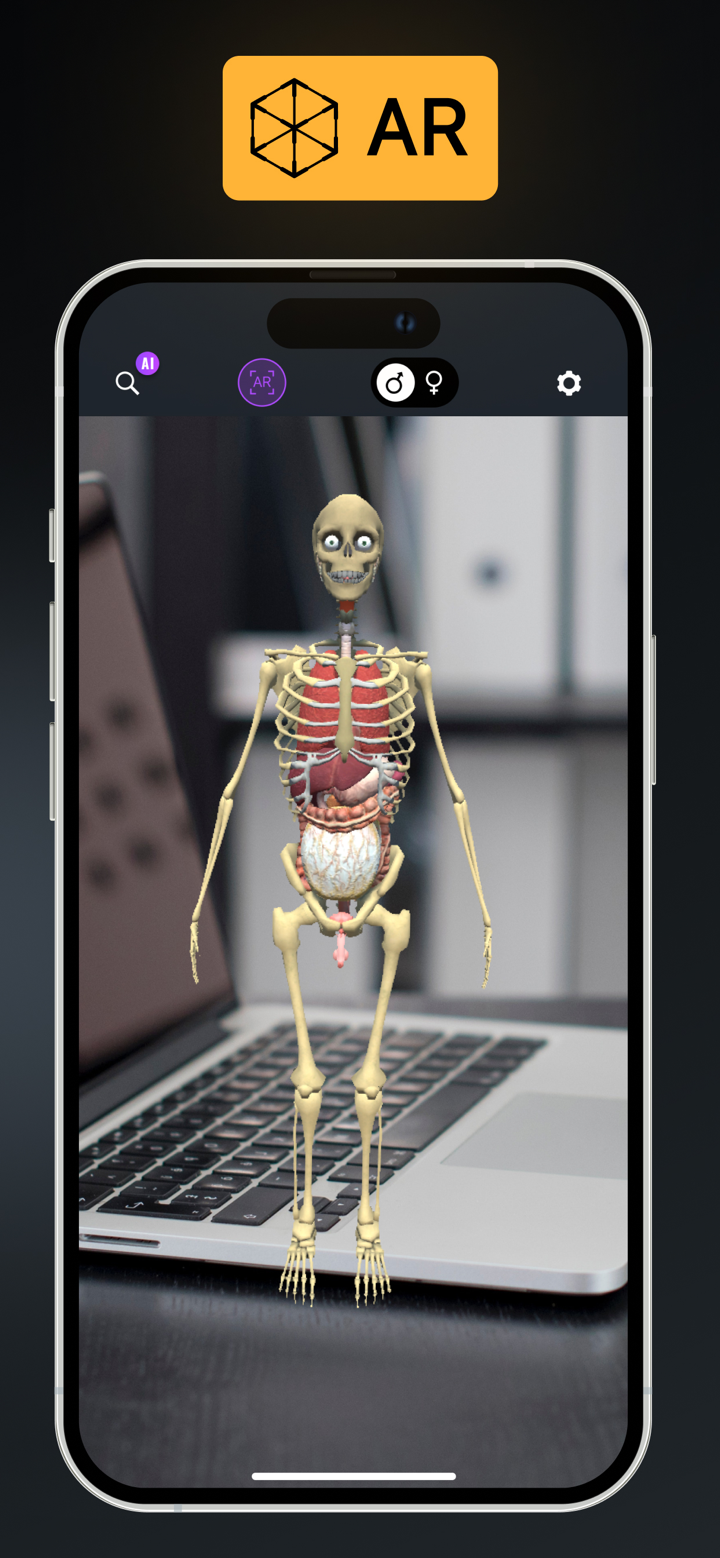 Complete Body Anatomy Atlas screenshot 6