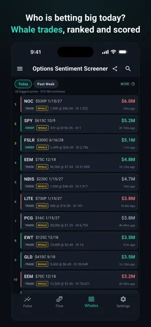 Options Sentiment Screener screenshot 3