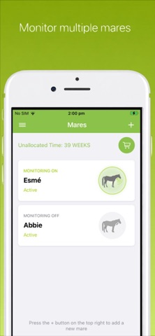 FoalApp Receiver iPhone screenshot