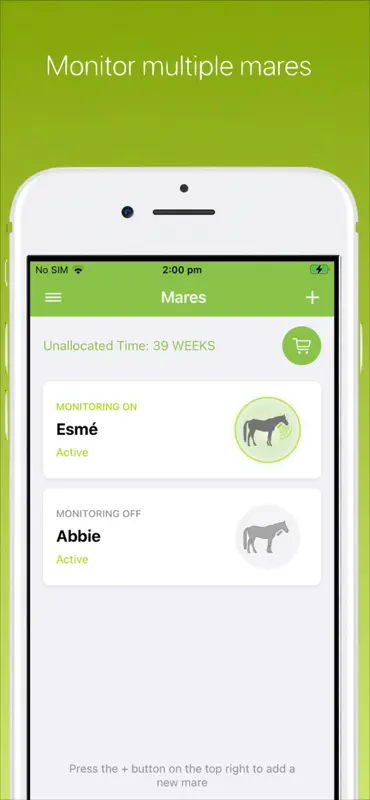 FoalApp Receiver screenshot 2 of 4
