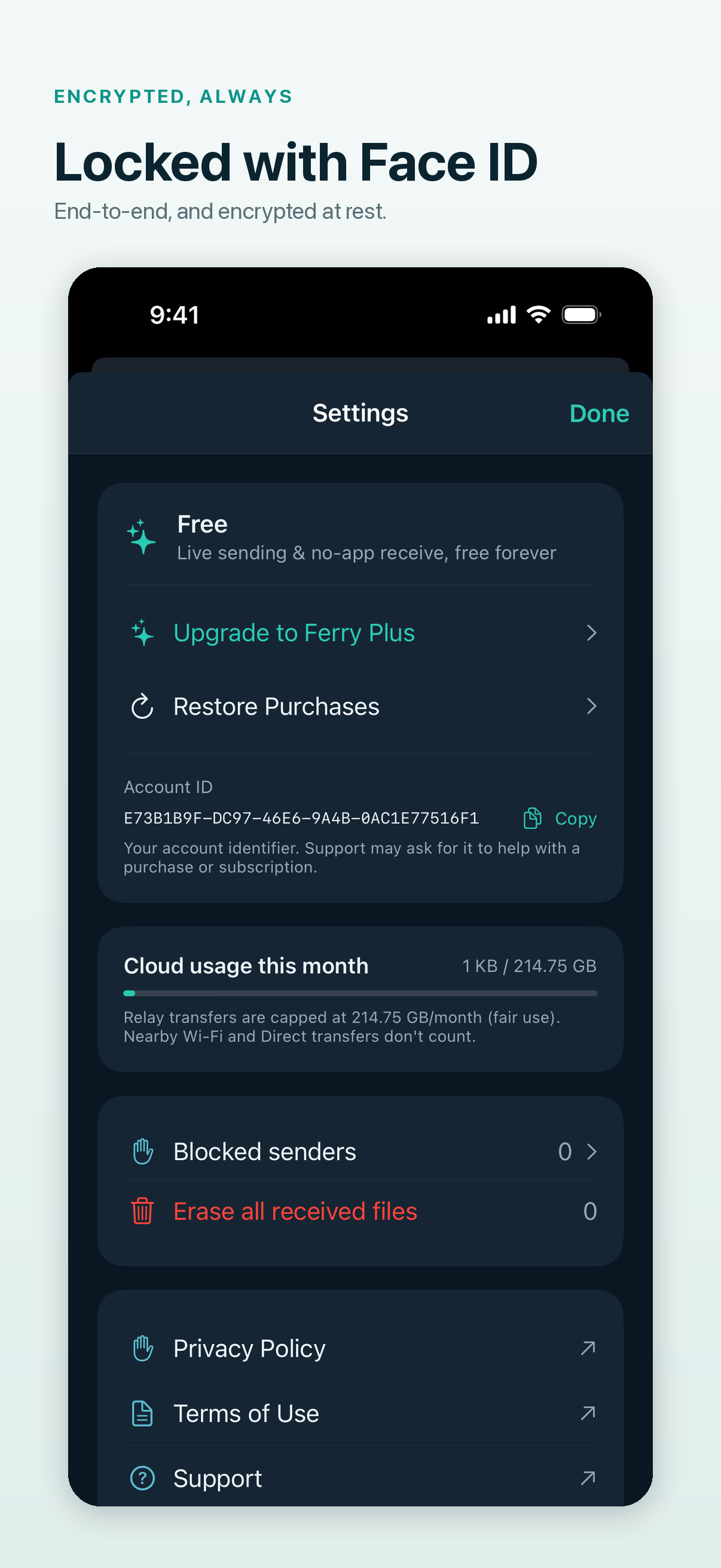 Ferry: Send Any File screenshot 7
