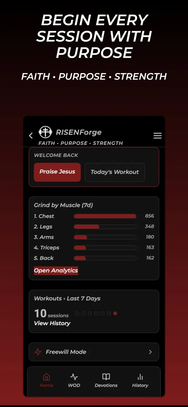 Screenshot #3 pour RISENForge
