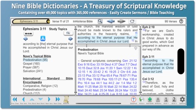 InHisVerse Bible Screenshot