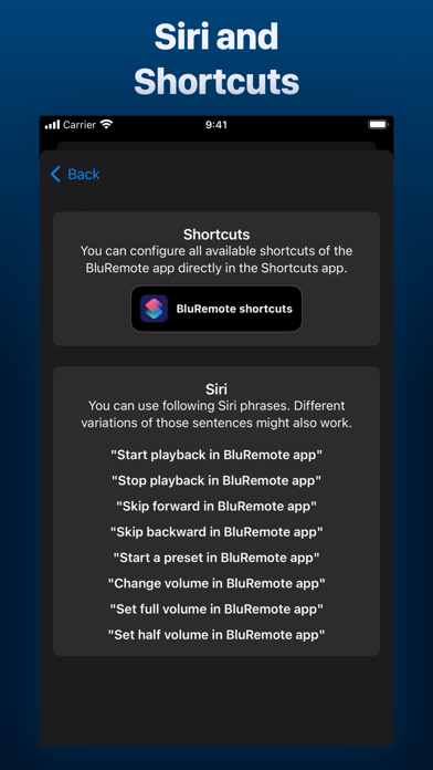 BluRemote Controller Screenshot