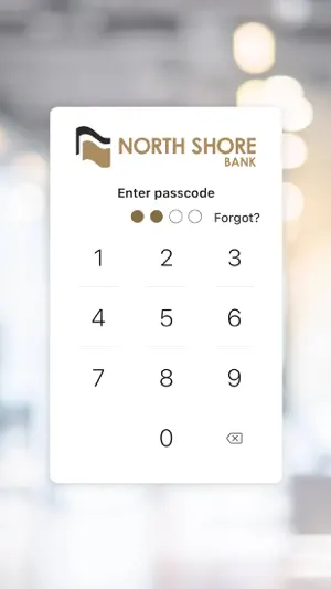 North Shore Bank MN screenshot 2