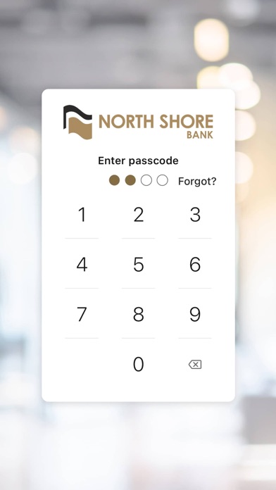 North Shore Bank MN Screenshot