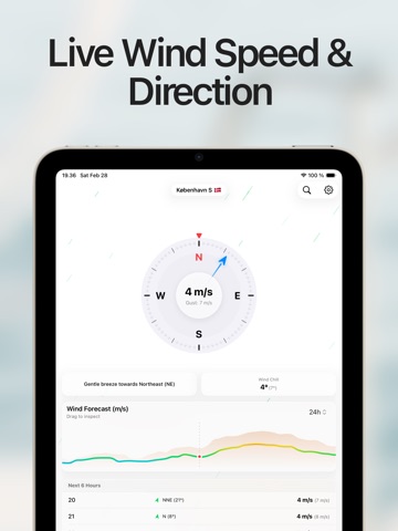 Wind Compass: Direction Finder iPad screenshot