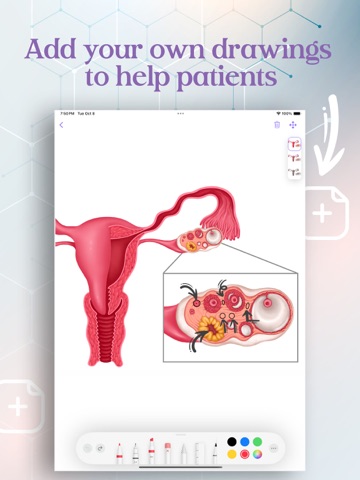 Clinic Visuals iPad screenshot
