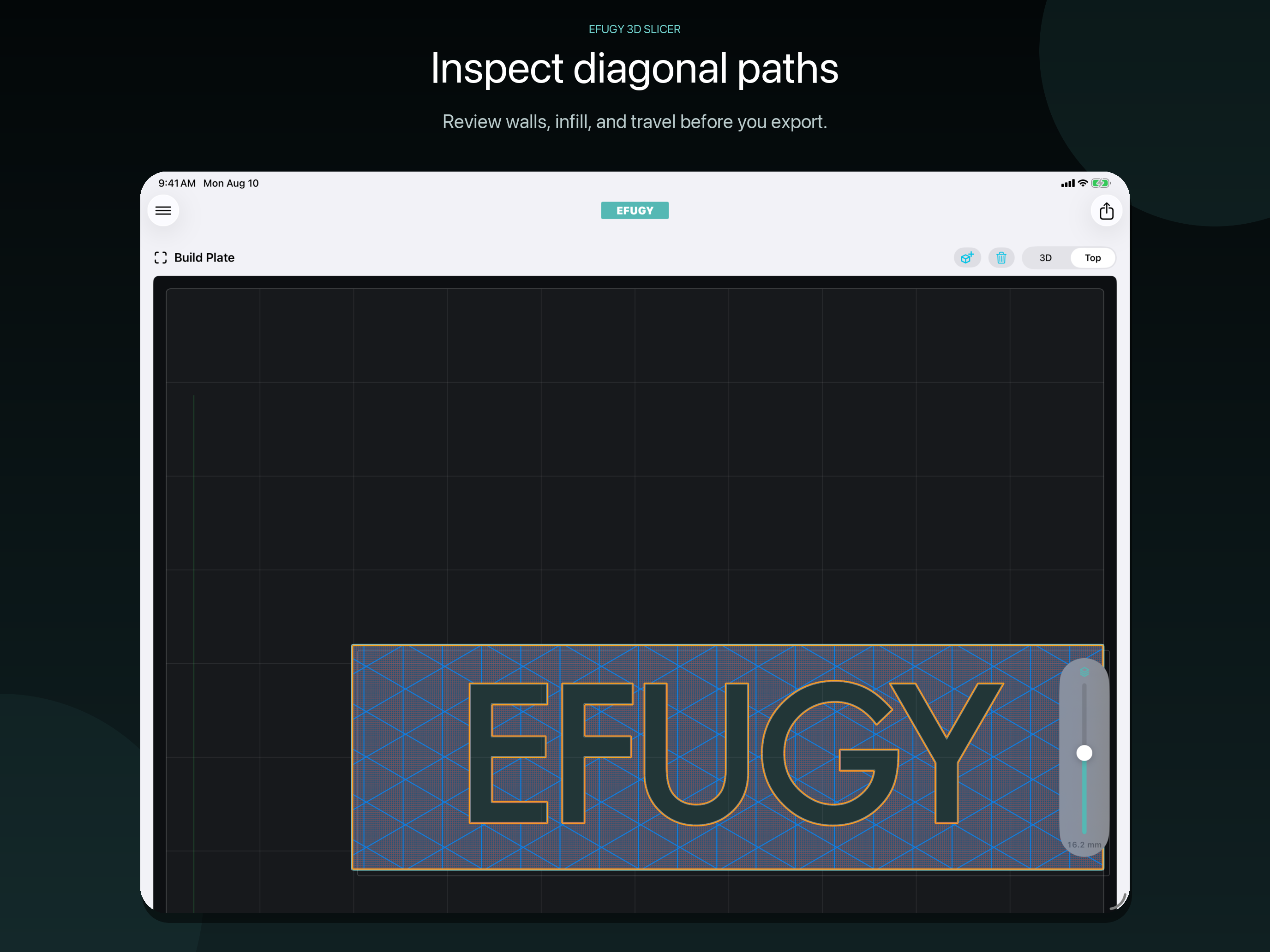 EFUGY 3D Slicer screenshot 13