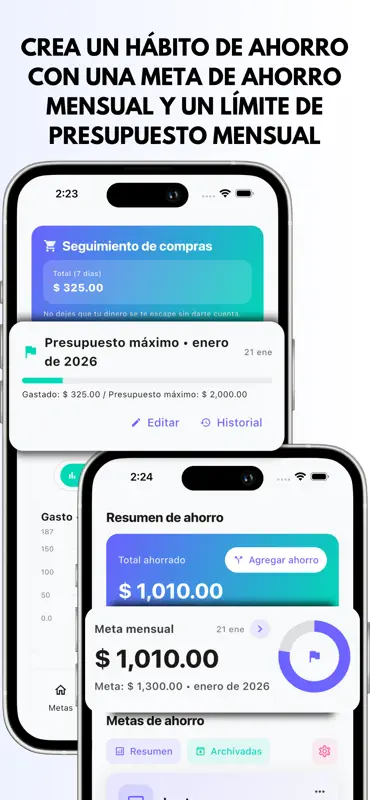 Objetivo de Ahorro screenshot 5 of 9