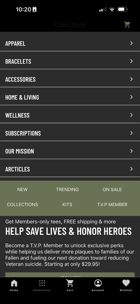 Til Valhalla Project screenshot 2