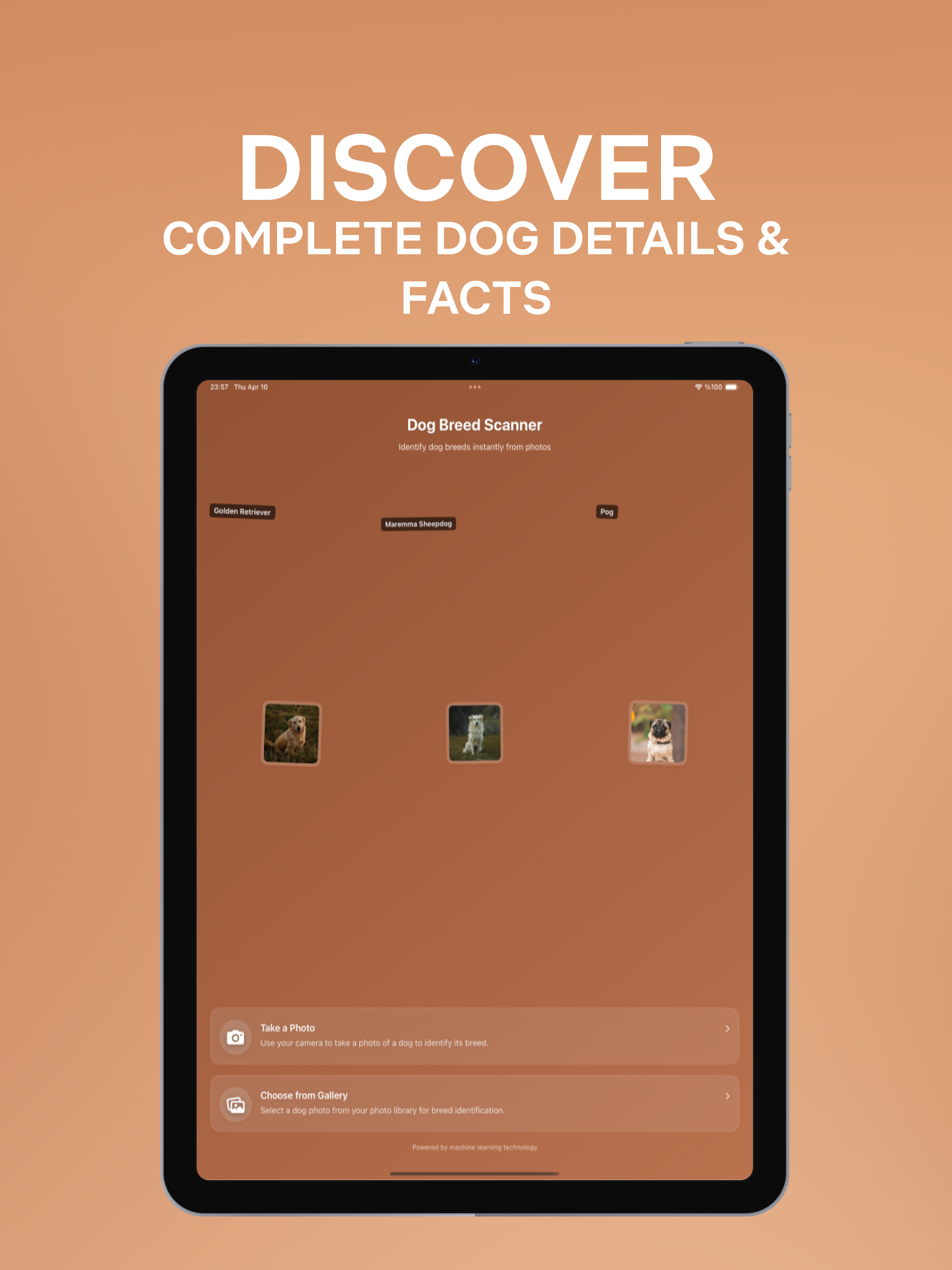 Dog Breed Identifier: Scan AI screenshot 7