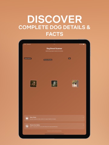 Dog Breed Identifier: Scan AI iPad screenshot