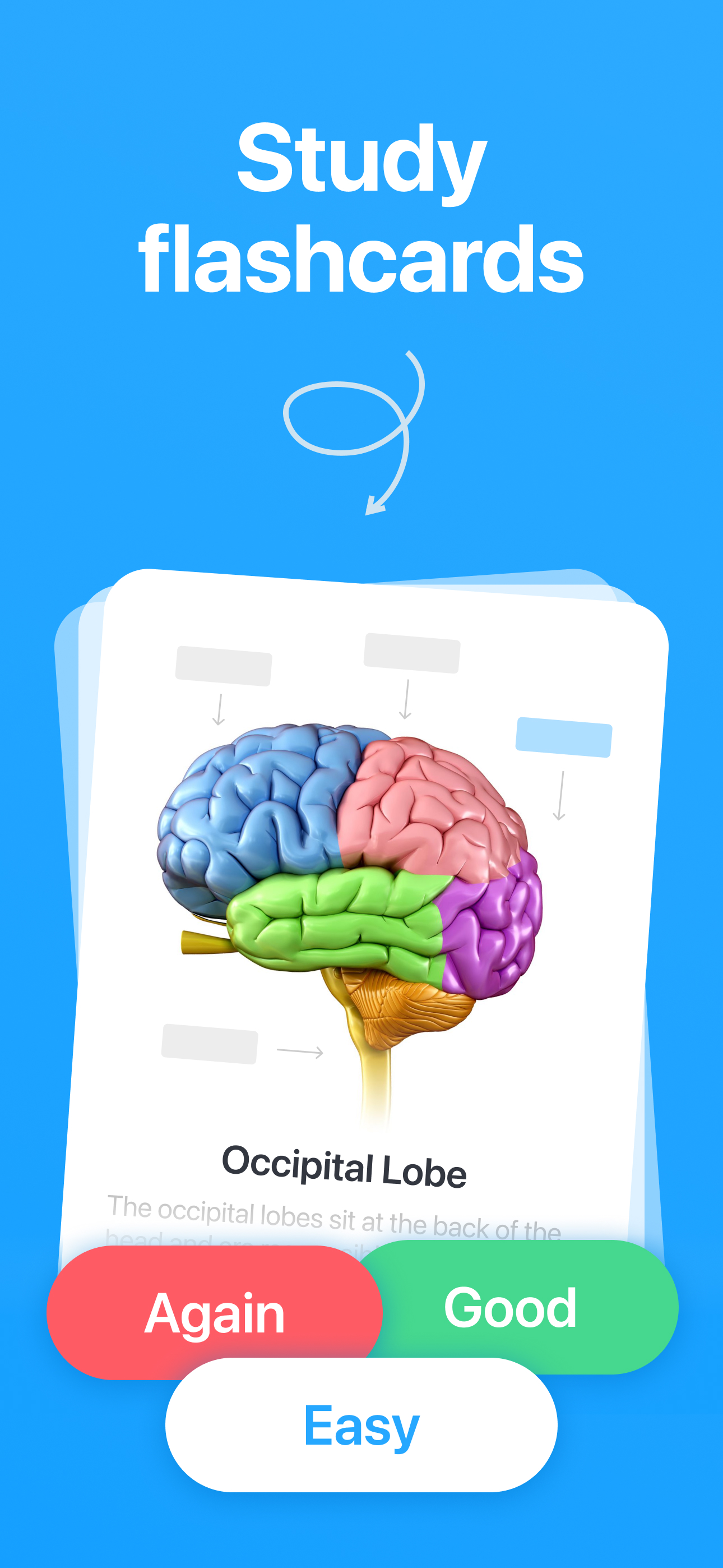 Cogni: Flashcards Learning