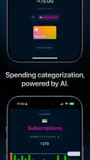 copilot: track & budget money iphone screenshot 2