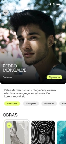 ART STGO screenshot