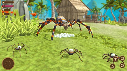 Wild Spider - Insect Simulator Screenshot