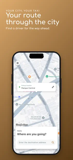 La Ruta Taxi screenshot 1