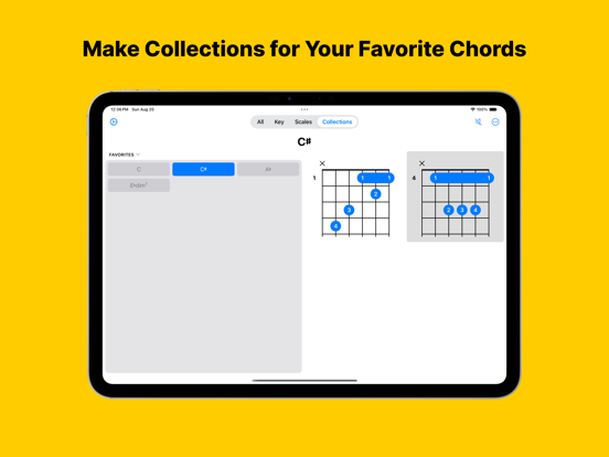 ChordKit – Guitar Chords iPad screenshot 4 - Music app