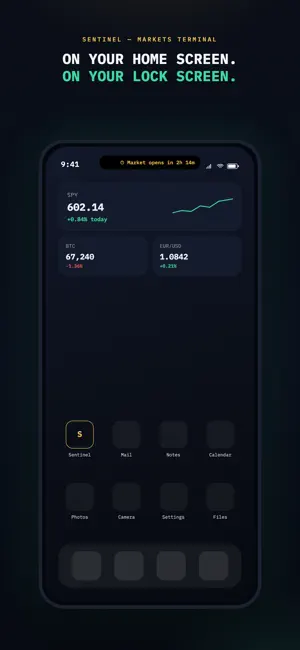 Sentinel Terminal screenshot 1