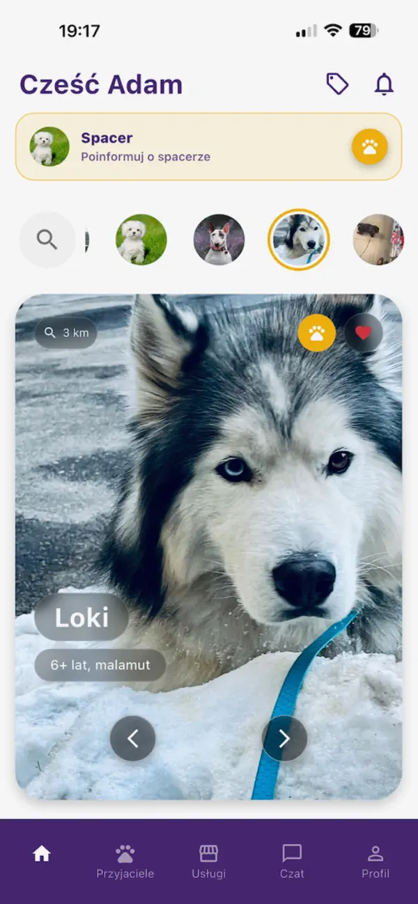 Screenshot #1 pour DogDog